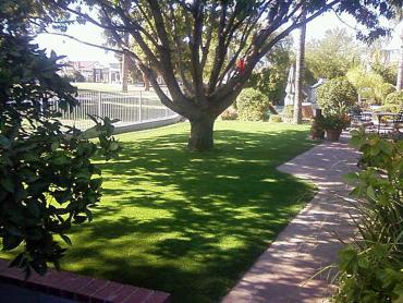 Artificial Grass Photos: Artificial Pet Turf Carlsbad California Lawns